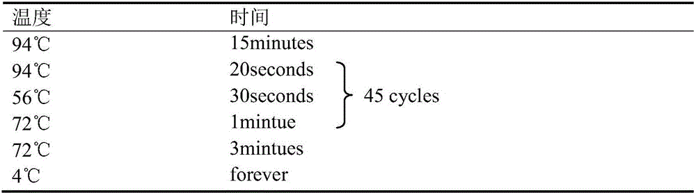 Kit for detecting polymorphism of non-small cell lung cancer mononucleotide and application of kit