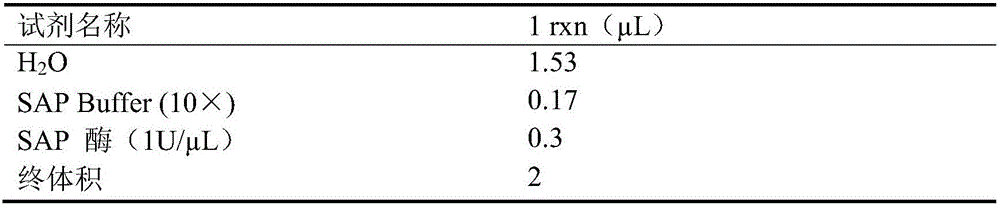 Kit for detecting polymorphism of non-small cell lung cancer mononucleotide and application of kit