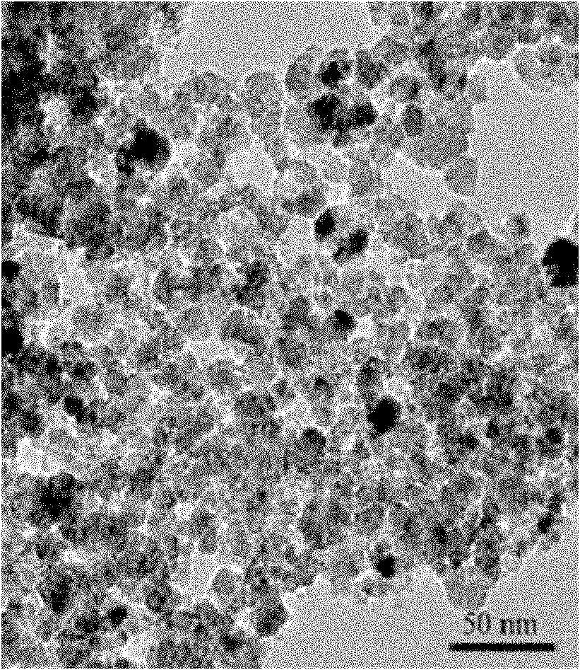 Nanometer probe and application thereof in tumor diagnosis composition and photodynamic therapy