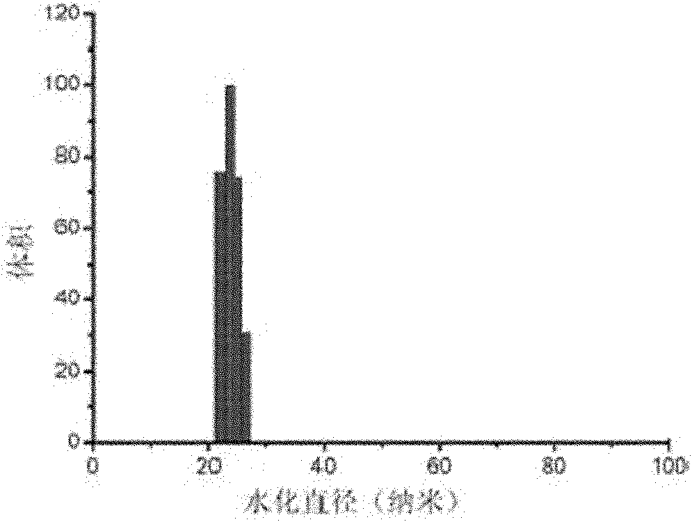 Nanometer probe and application thereof in tumor diagnosis composition and photodynamic therapy