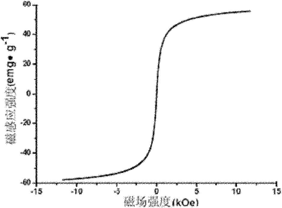 Nanometer probe and application thereof in tumor diagnosis composition and photodynamic therapy