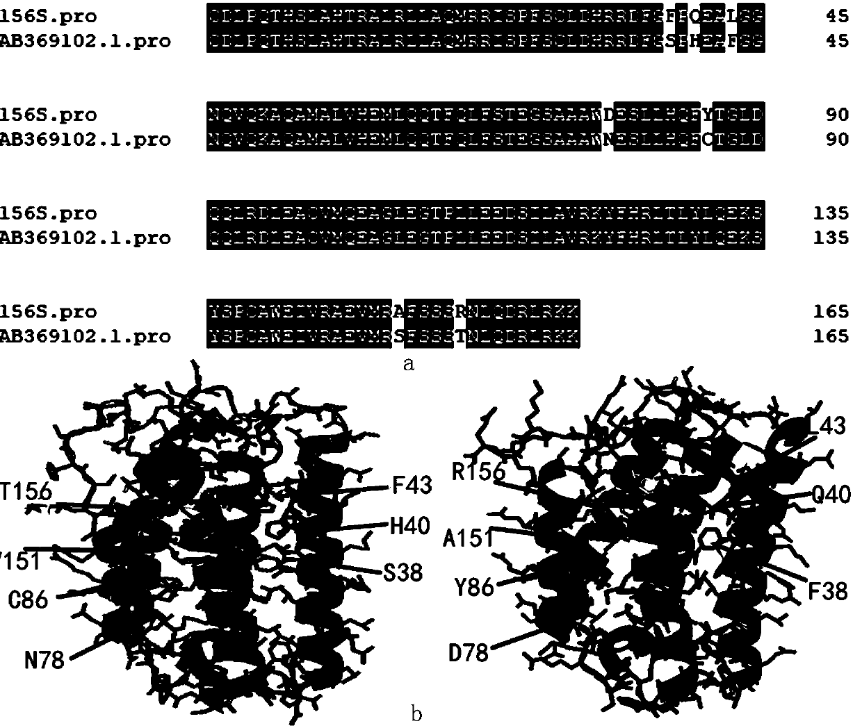 High-activity porcine interferon alpha mutant with 7 mutation loci and preparing method and application thereof