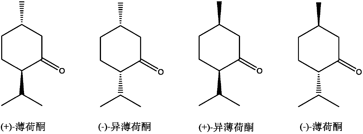 Method for preparation of menthone