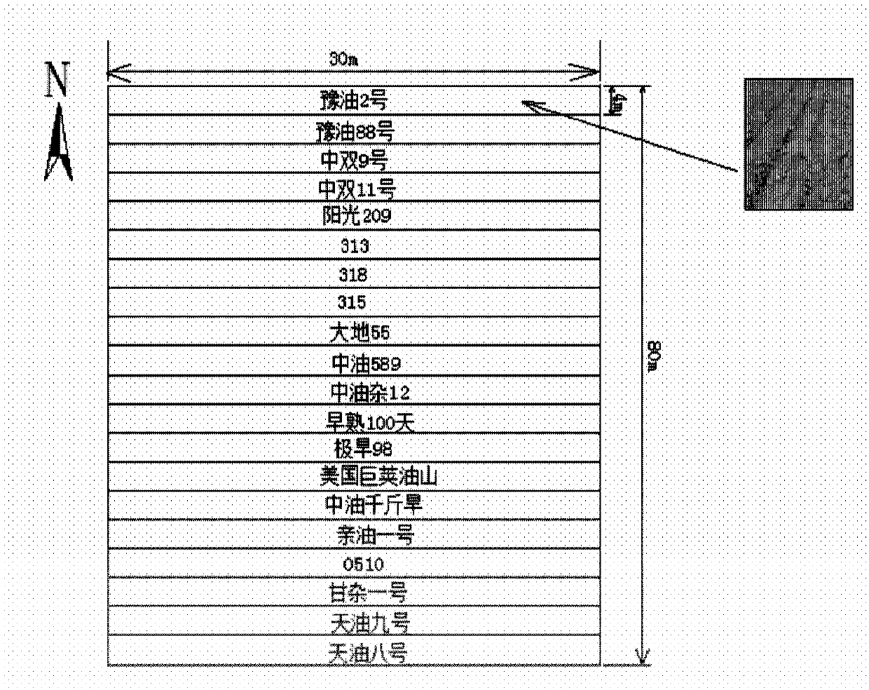 A method for repairing cadmium and lead-contaminated farmland in winter by using cold-resistant winter rapeseed varieties