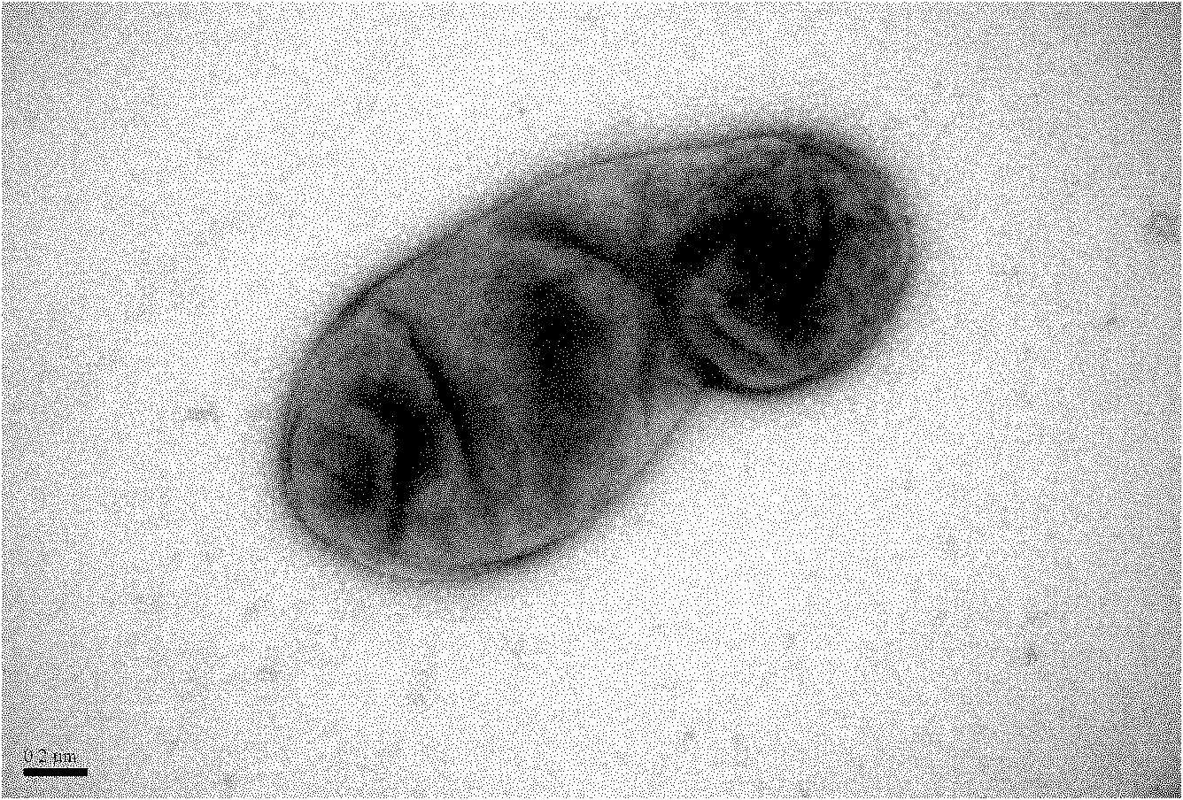 Xanthobacter sp. D7 capable of degrading dioxane and application thereof