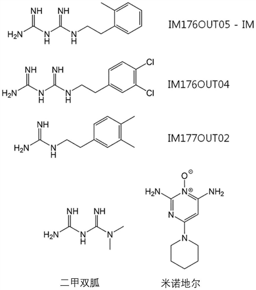 Hair growth promoting composition comprising guanidine derivative