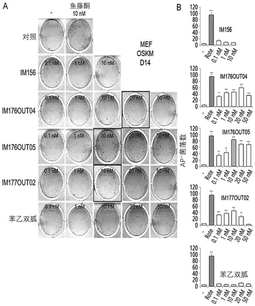 Hair growth promoting composition comprising guanidine derivative