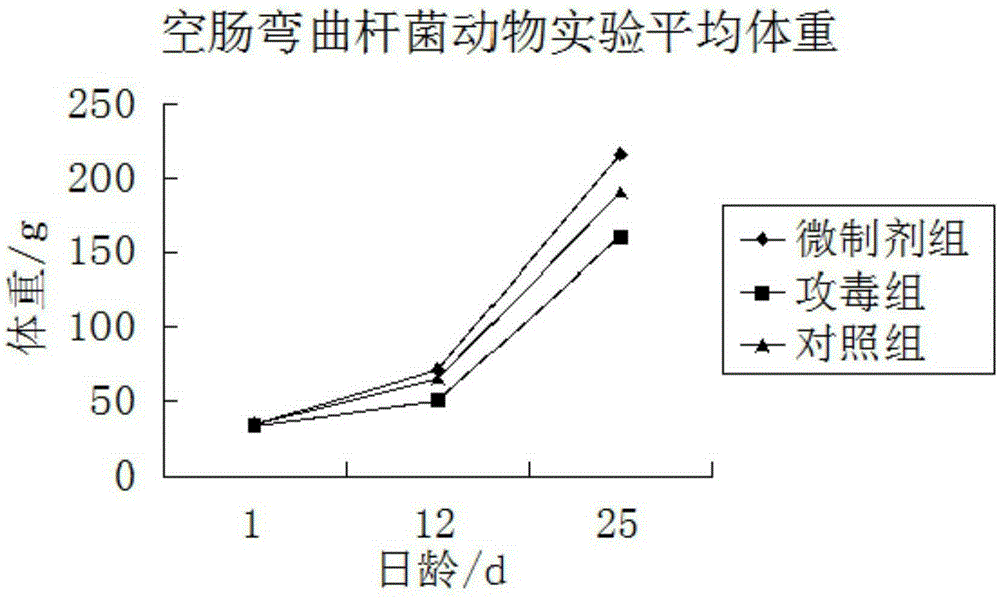 Poultry micro-ecological preparation as well as preparation method and application thereof