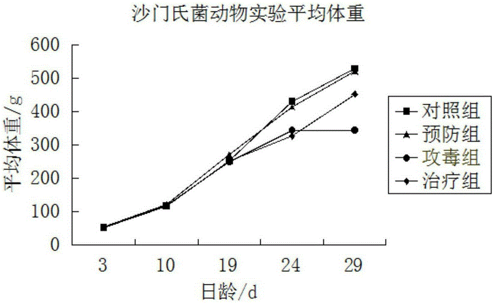 Poultry micro-ecological preparation as well as preparation method and application thereof