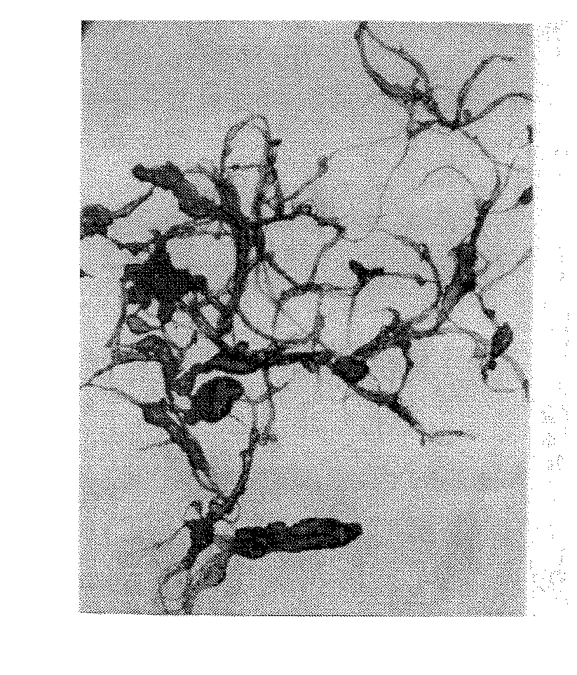 Isotropic NANO crystallites of polytetrafluoroethylene (PTFE) resin and products thereof that are biaxially planar oriented and form stable