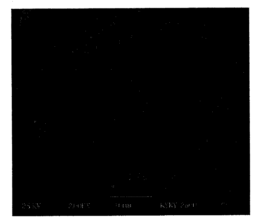 Thick-film type limited current hydrogen sensor and preparation method thereof