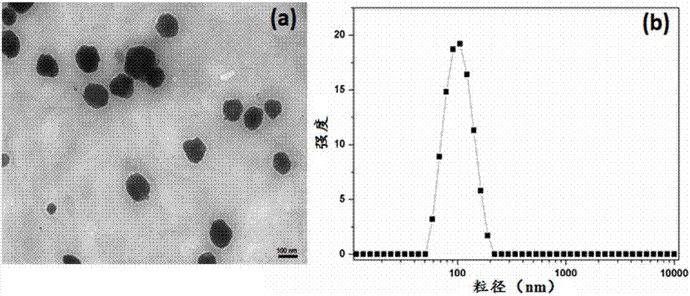 Nano pesticide preparation and production method of same