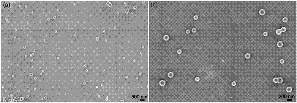 Nano pesticide preparation and production method of same