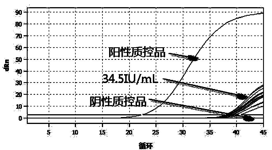 Kit for detecting human cytomegalovirus