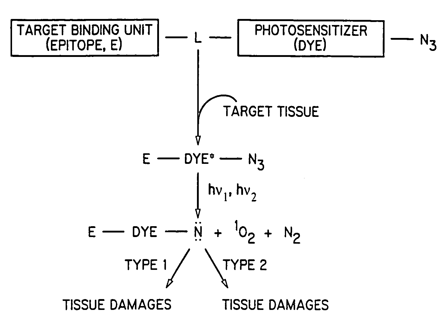 Methods and compositions for dual phototherapy