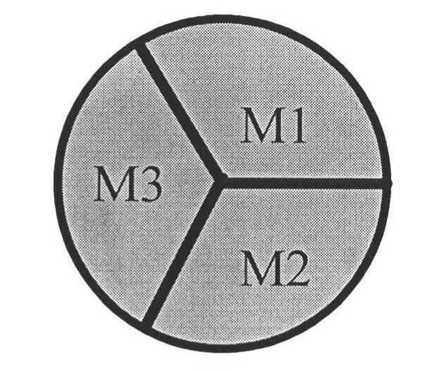 Optical-fiber curing method of frameless optical induction ring of optical-fiber gyroscope