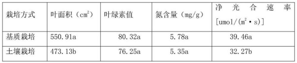 Fermented mushroom substrate waste, culture substrate based on same and application