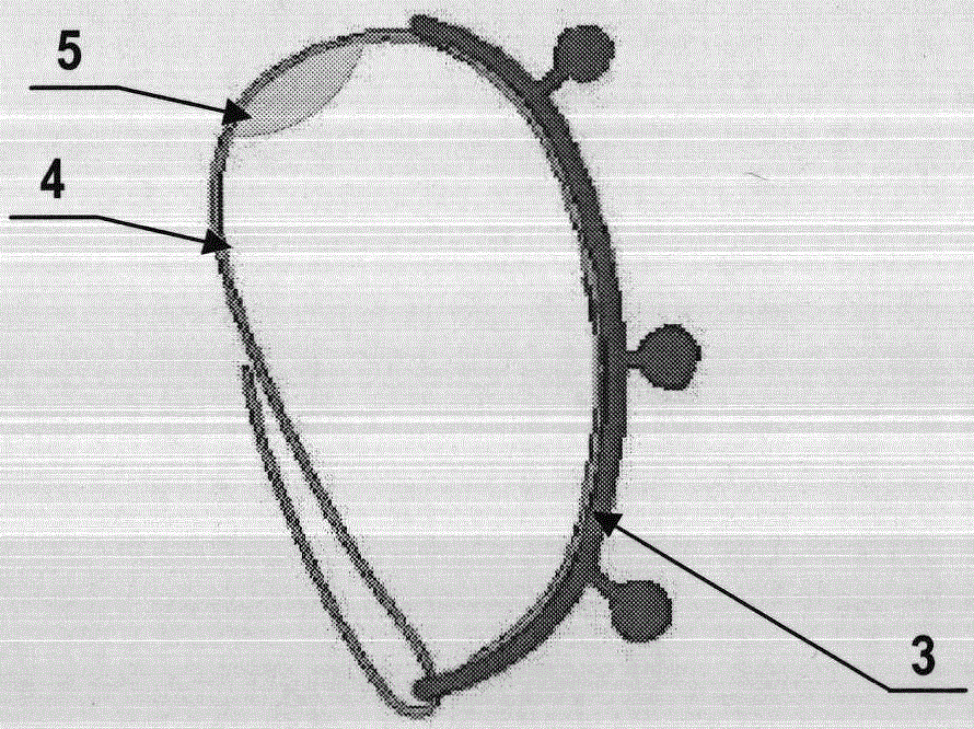 radial artery hemostat