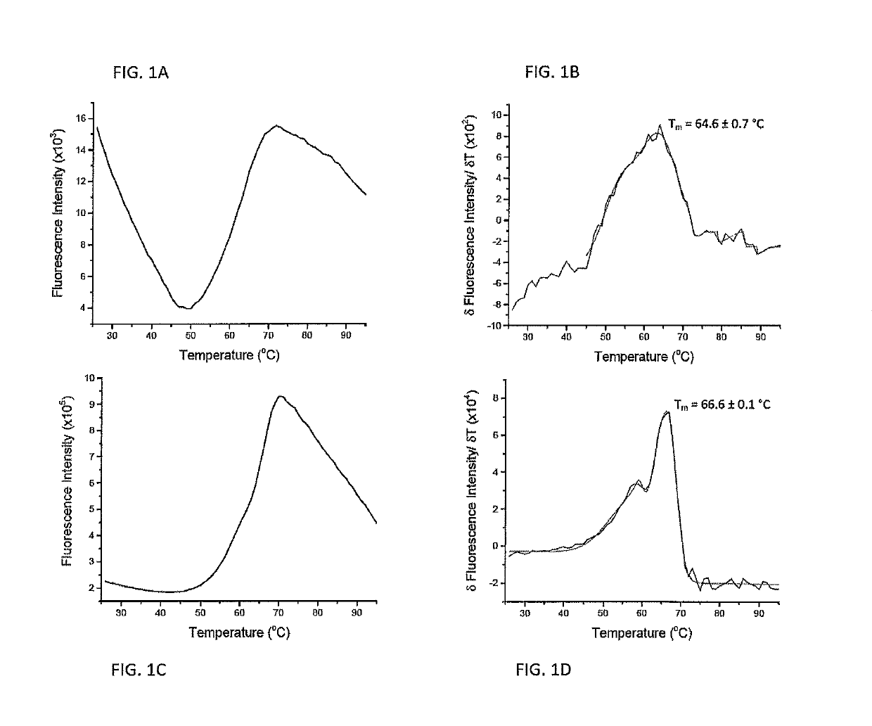 Protein folding and methods of using same