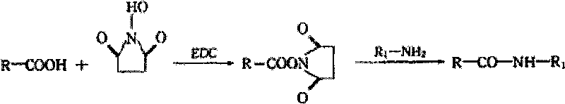 Rabbit monoclonal antibody based ciprofloxacin residue analysis enzyme-linked immune adsorption kit