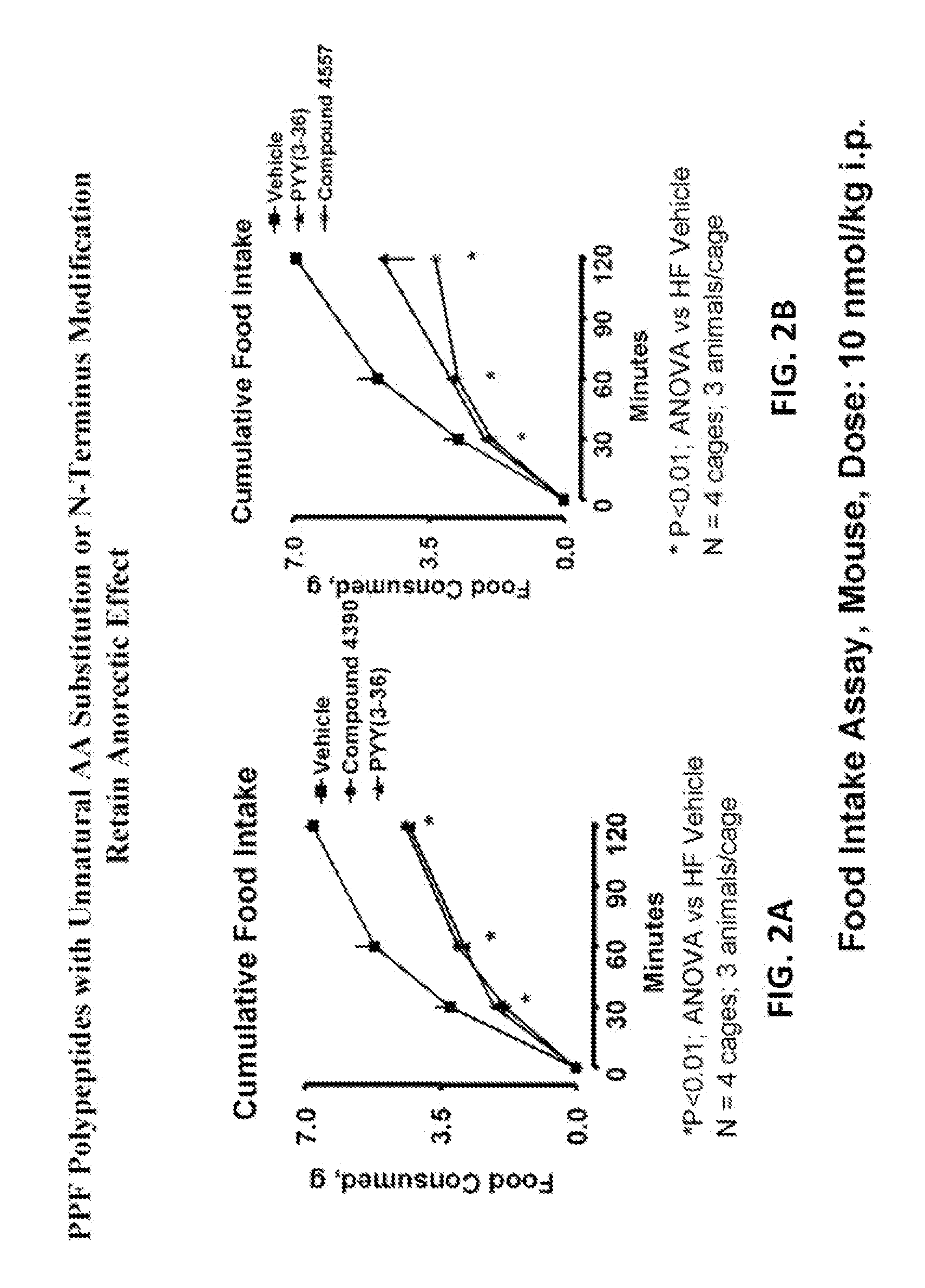 Pancreatic polypeptide family motifs, polypeptides and methods comprising the same