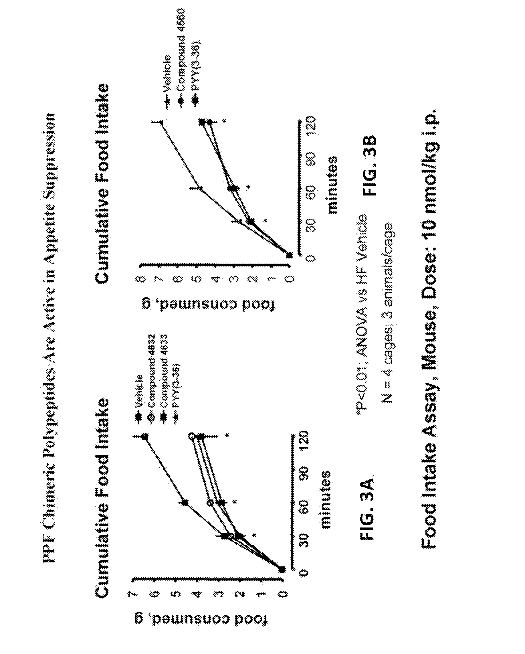 Pancreatic polypeptide family motifs, polypeptides and methods comprising the same