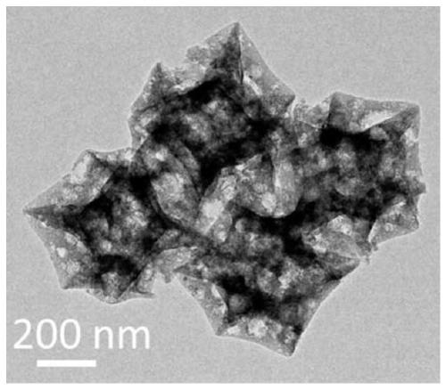 Nitrogen-doped graded porous carbon nano catalyst and preparation method thereof