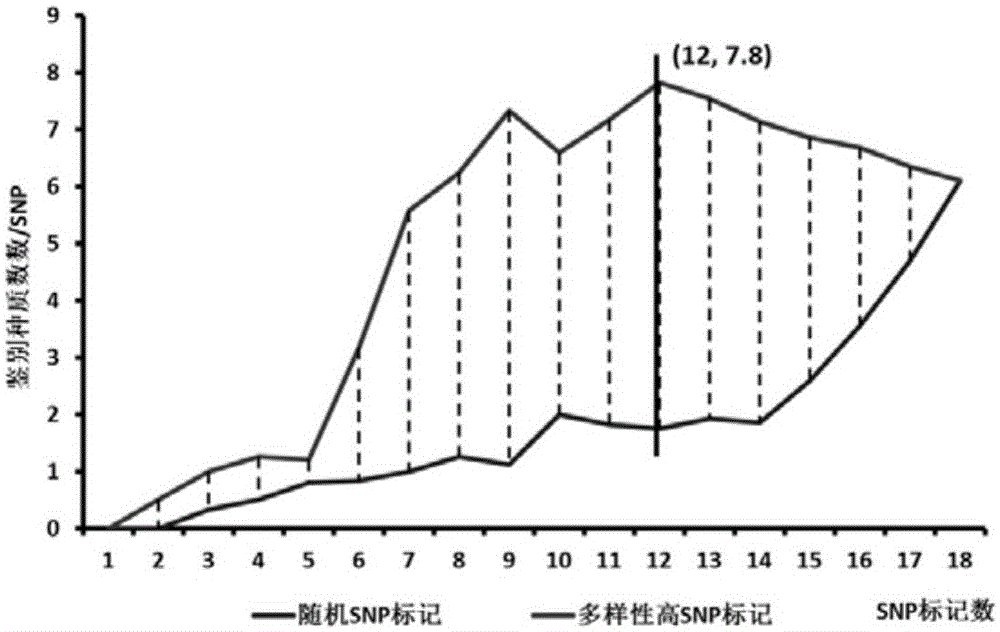 Soybean identity important character SNP (single-nucleotide polymorphism) marker combined screening method and application thereof