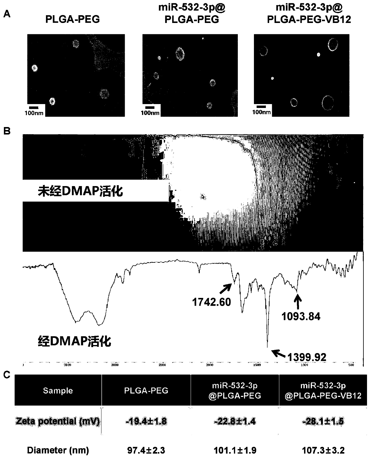 Synthesis method and application of miRNA-carrying VB12 binding type nano-composite