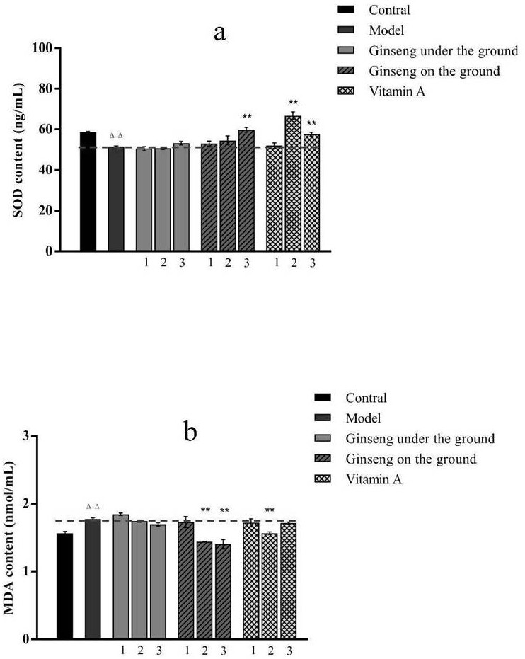 Preparation method and application of ginseng overground part active ingredient extract with anti-aging effect