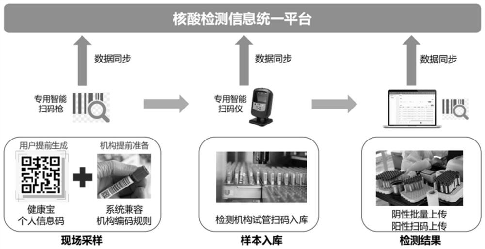 Detection result query method and device, terminal, server and storage medium