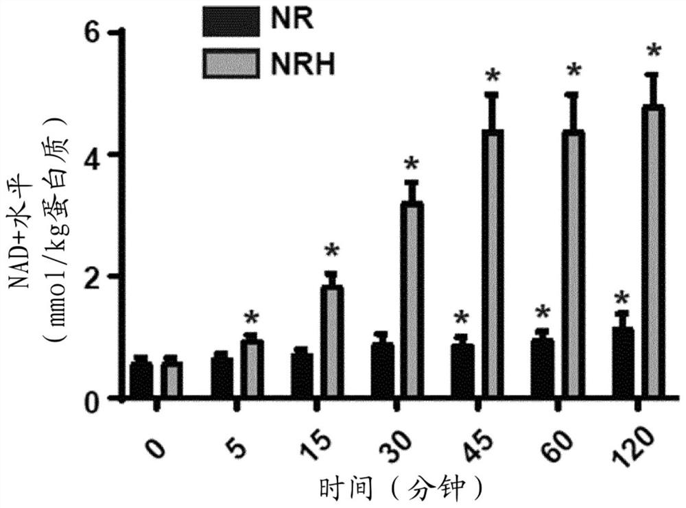 Reduced nicotinamideribosides for treatment/prevention of liver disease