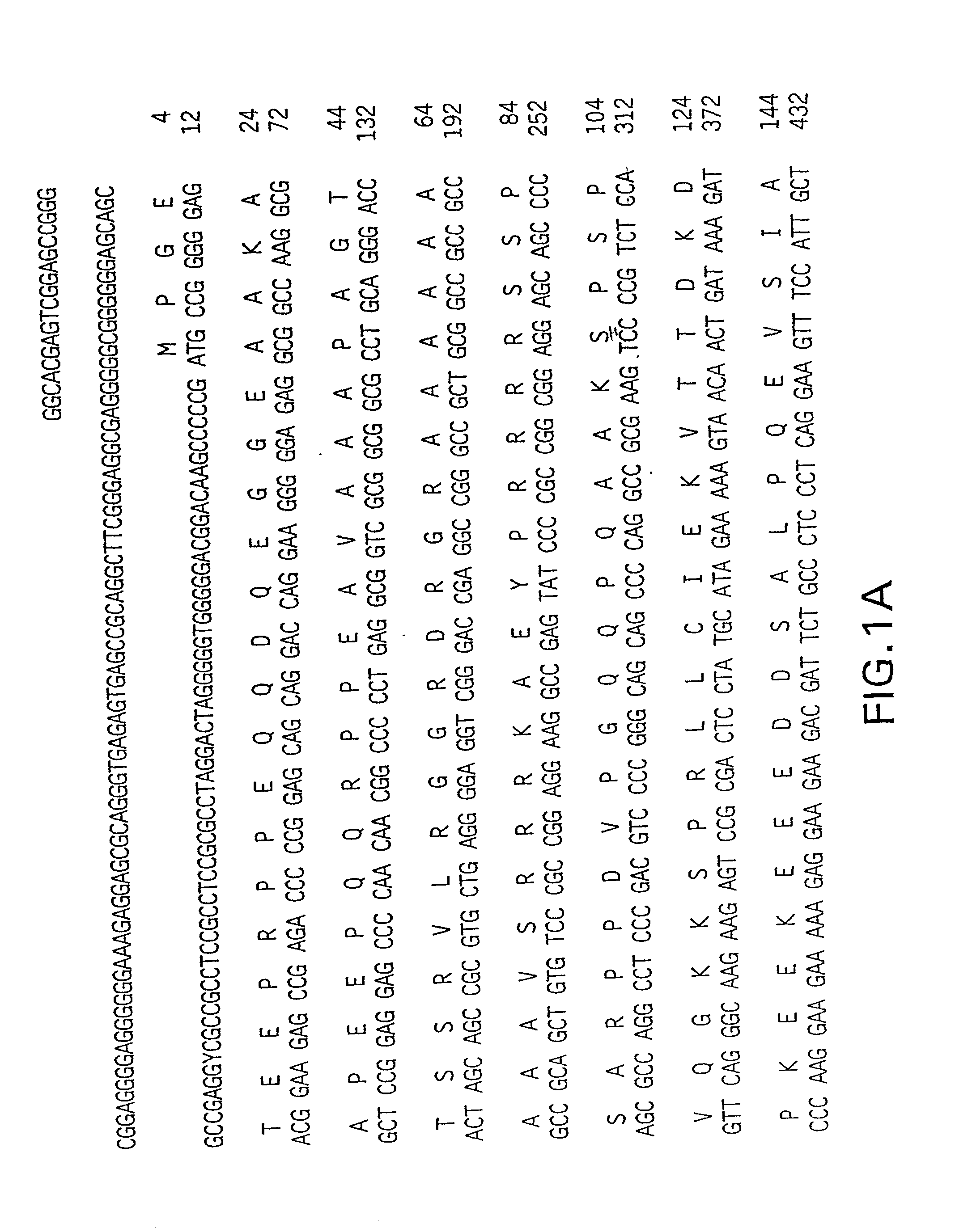 Compositions and methods for the treatment and diagnosis of cardiovascular disease