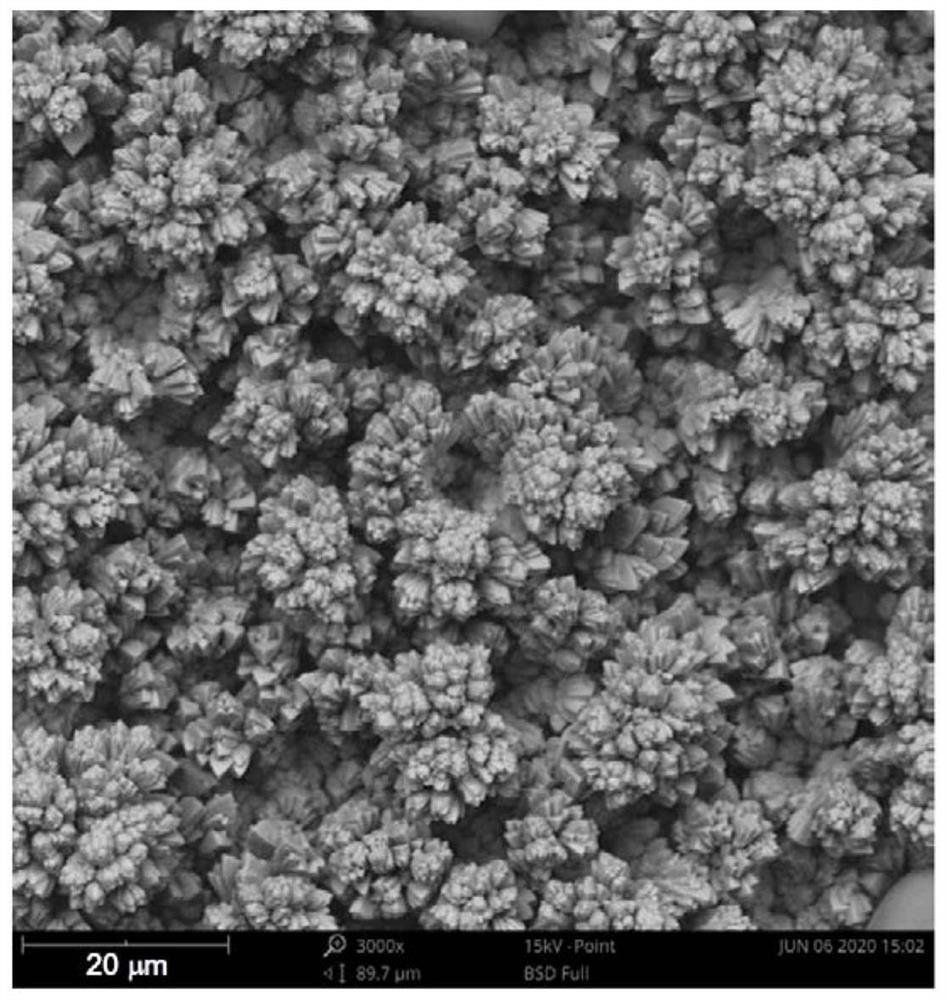 Electroplating solution for directly electrodepositing iron on surface of magnesium alloy and electroplating process thereof