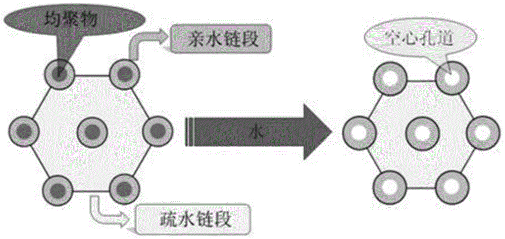 Preparation method for degradable porous polyethylene glycol