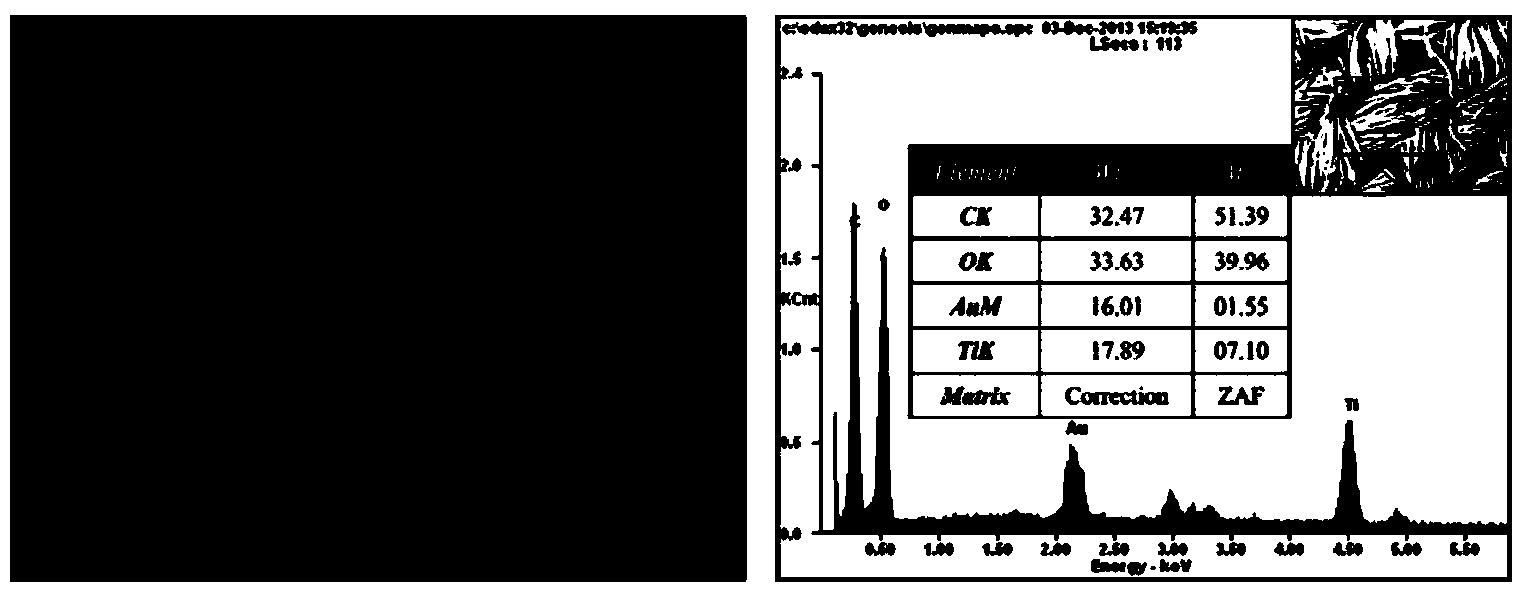 Preparation method of special-infiltration functional fabric surface with self-cleaning and oil-water separation functions