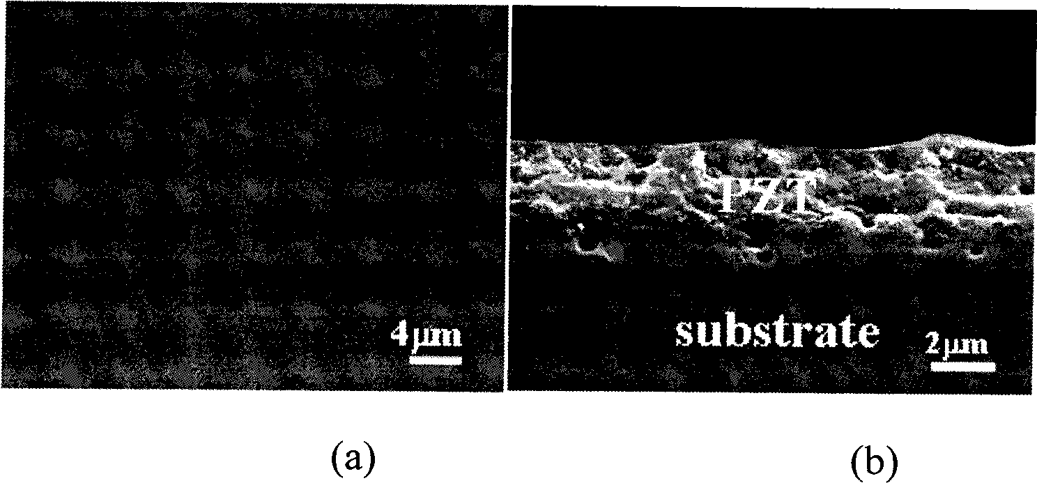 Preparation method of ZnO nano crystal whisker reinforced silicon-based lead zirconate titanate piezoelectric composite thick film