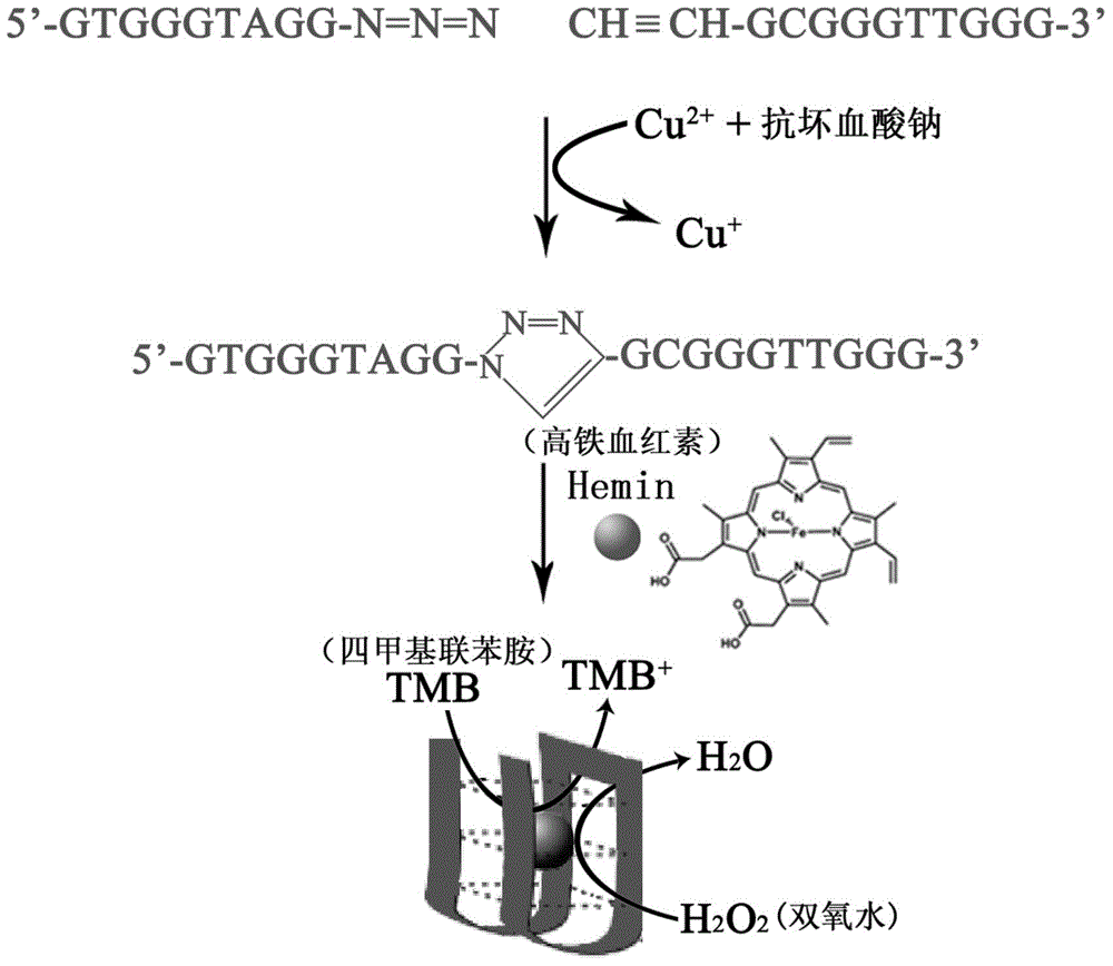 Copper ion detection kit based on click chemistry and G tetramer and detection method of copper ion detection kit