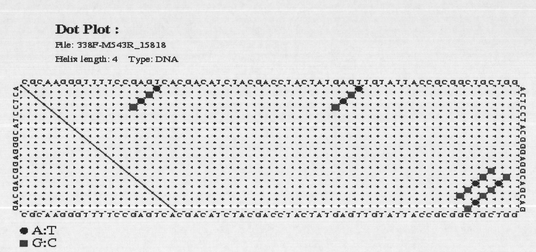 Method for obtaining nucleotide sequence in V3 region of 16S rRNA genes of bacteria and special primer thereof