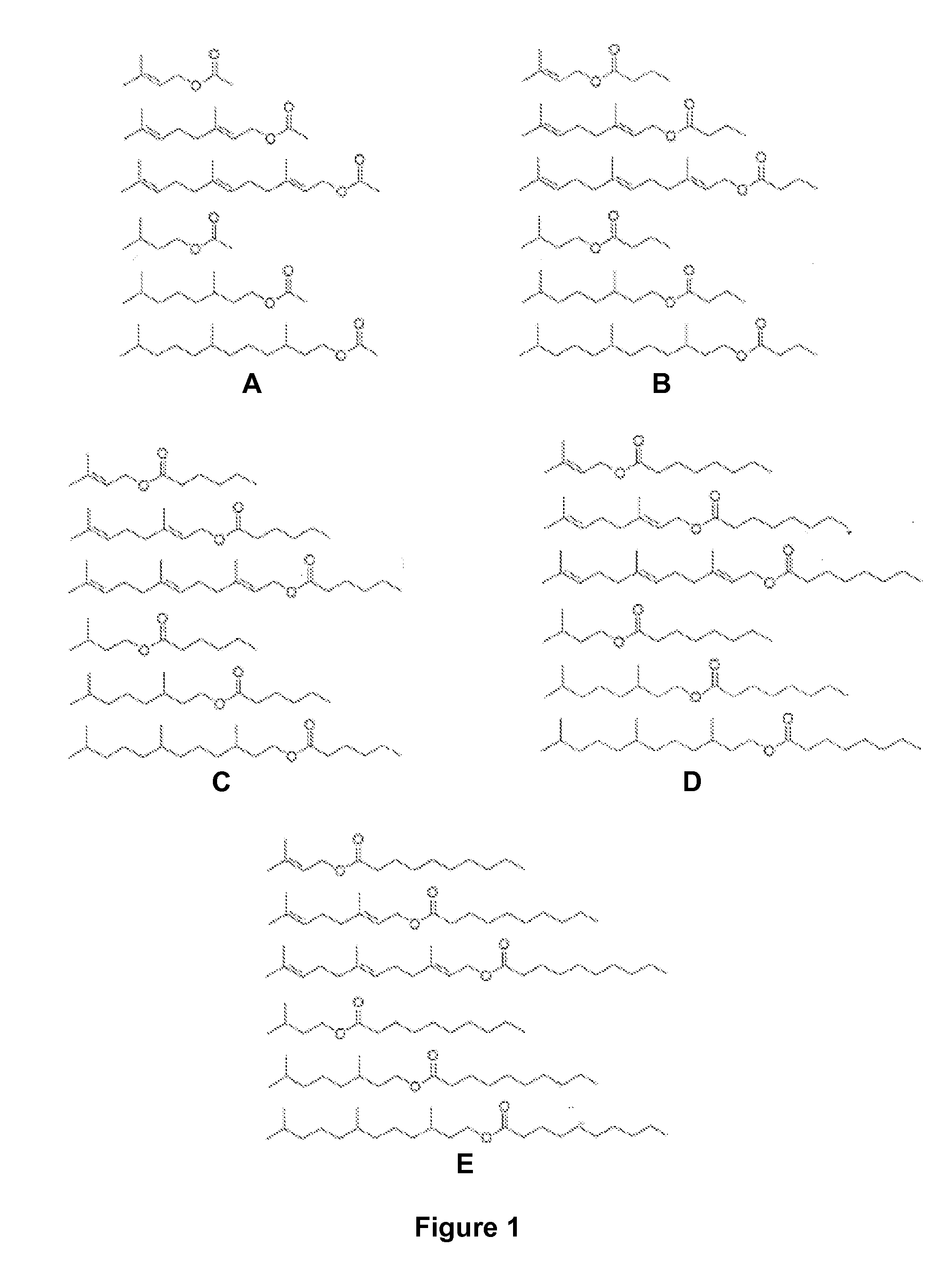 Host Cells and Methods for Producing Isoprenyl Alkanoates