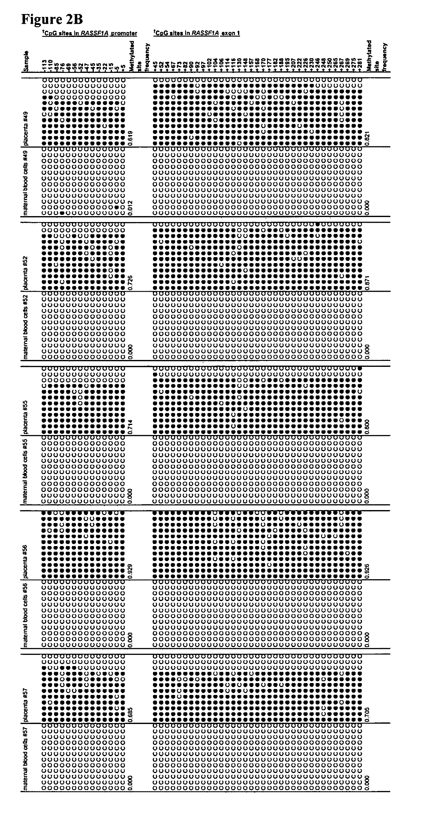 Fetal methylation markers