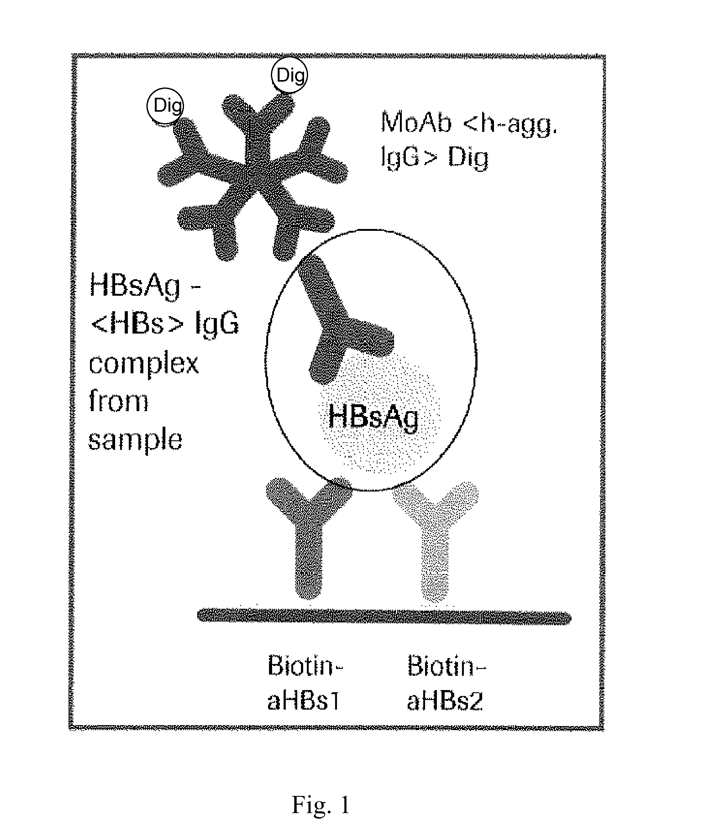 Hbv immunocomplexes for response prediction and therapy monitoring of chronic hbv patients