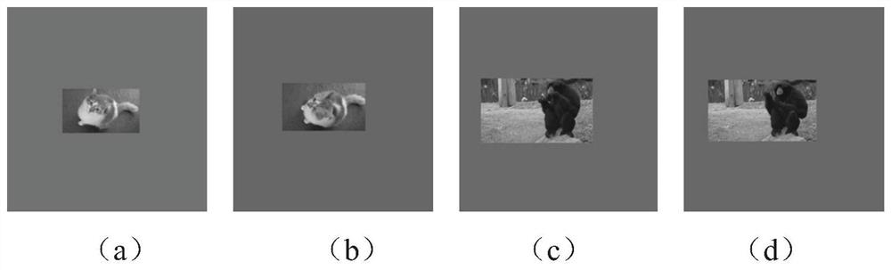 Object Tracking Method and System Based on Triple Convolutional Network and Perceptual Interference Learning