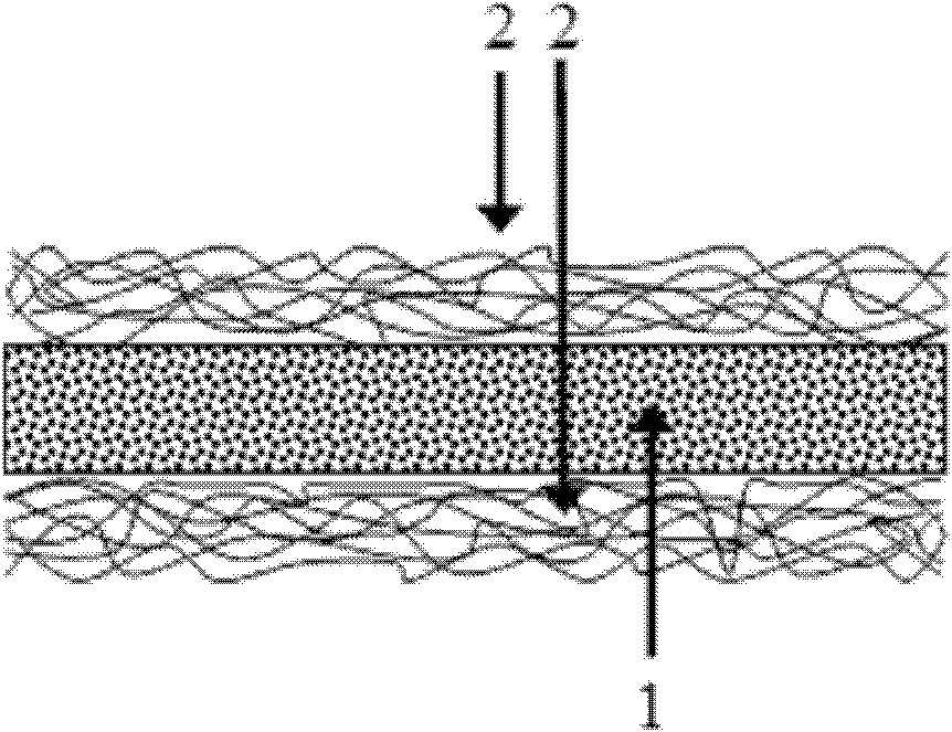 Free-standing sandwich structure composite proton conducting film and preparation method thereof