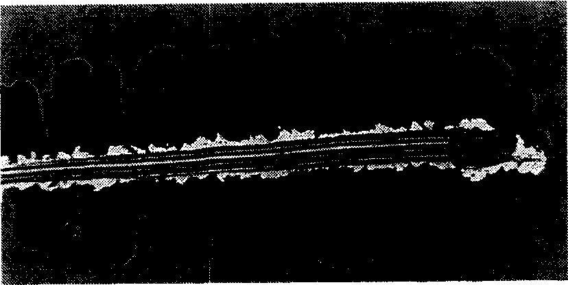 Composite reinforcing and treating method for alumium or alumium alloy substrate surface through ion implantation and deposition