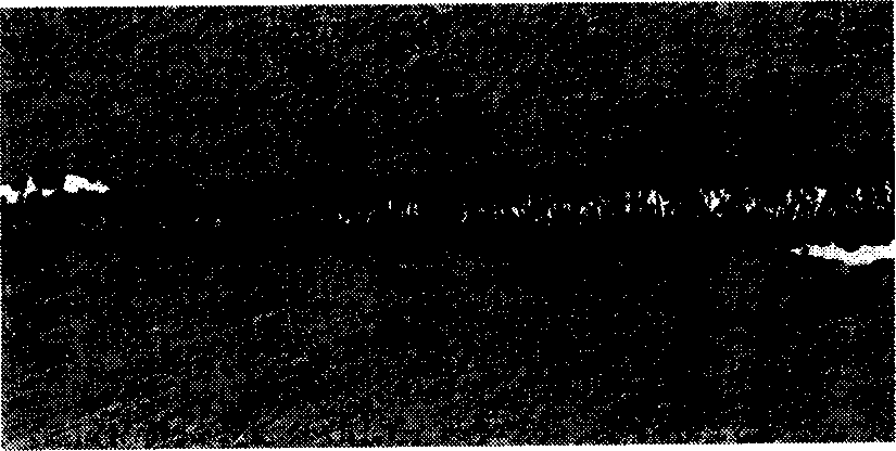 Composite reinforcing and treating method for alumium or alumium alloy substrate surface through ion implantation and deposition