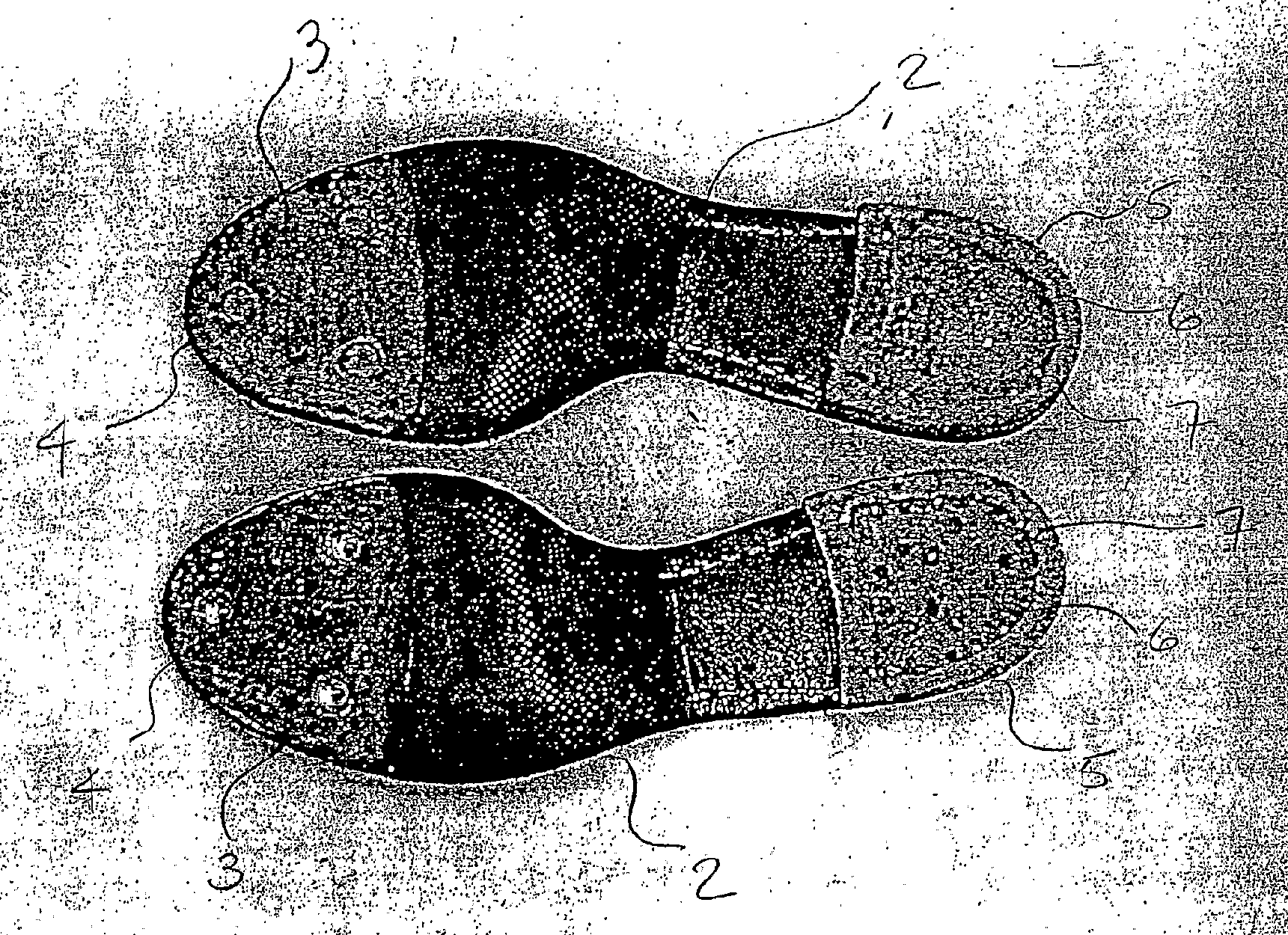 Tap Dance Shoe Assembly, System, and Method