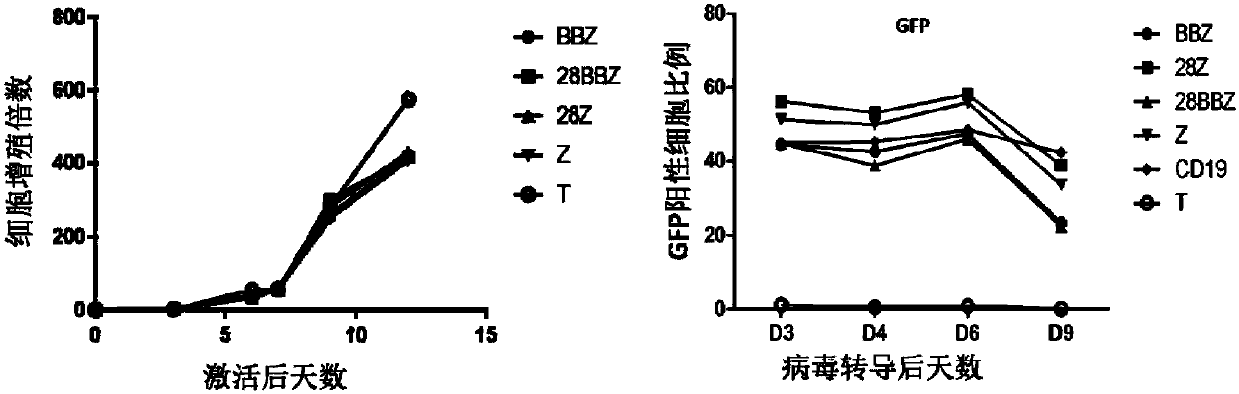 Engineering immune cell with suicide gene switch of targeting human mesothelin