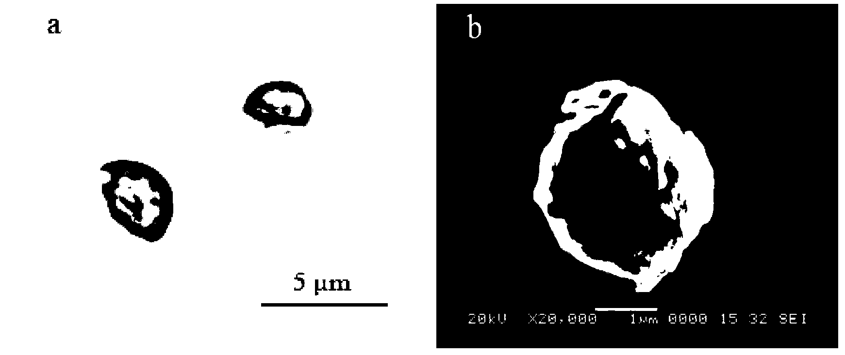 Freshwater chlorella and application thereof in fixation of CO2 and production of microalgae oil