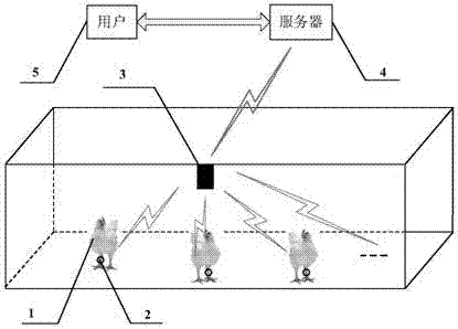 Method for monitoring poultry health conditions, motion foot ring, server and system